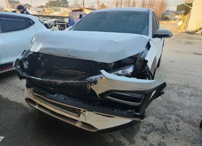 2020 Hyundai Kona KMHK381EGLU028060 VIN:KMHK381EGLU028060