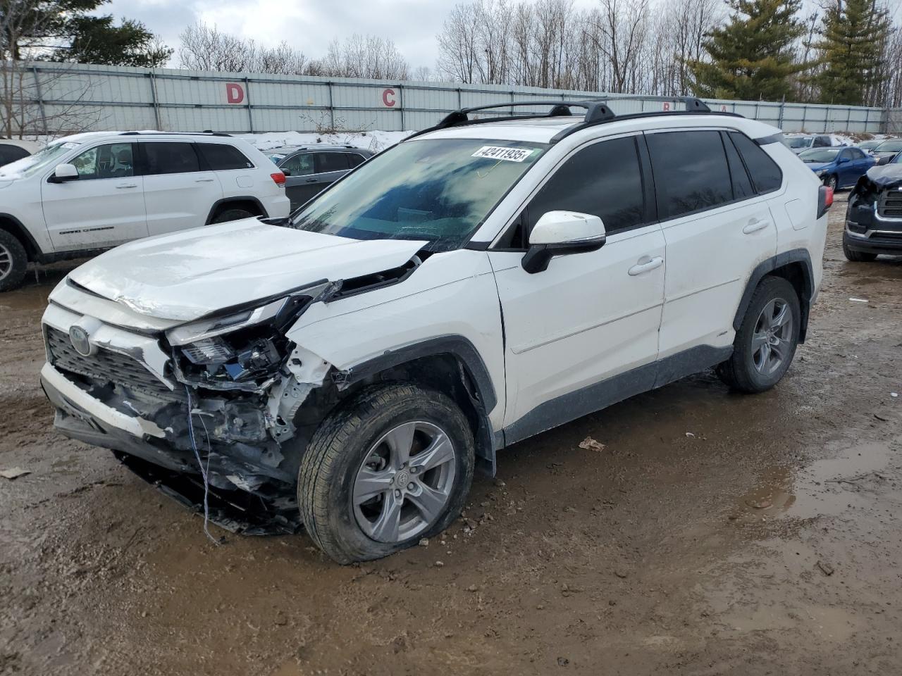 2023 TOYOTA RAV4 XLE VIN:JTMRWRFV4PD184228