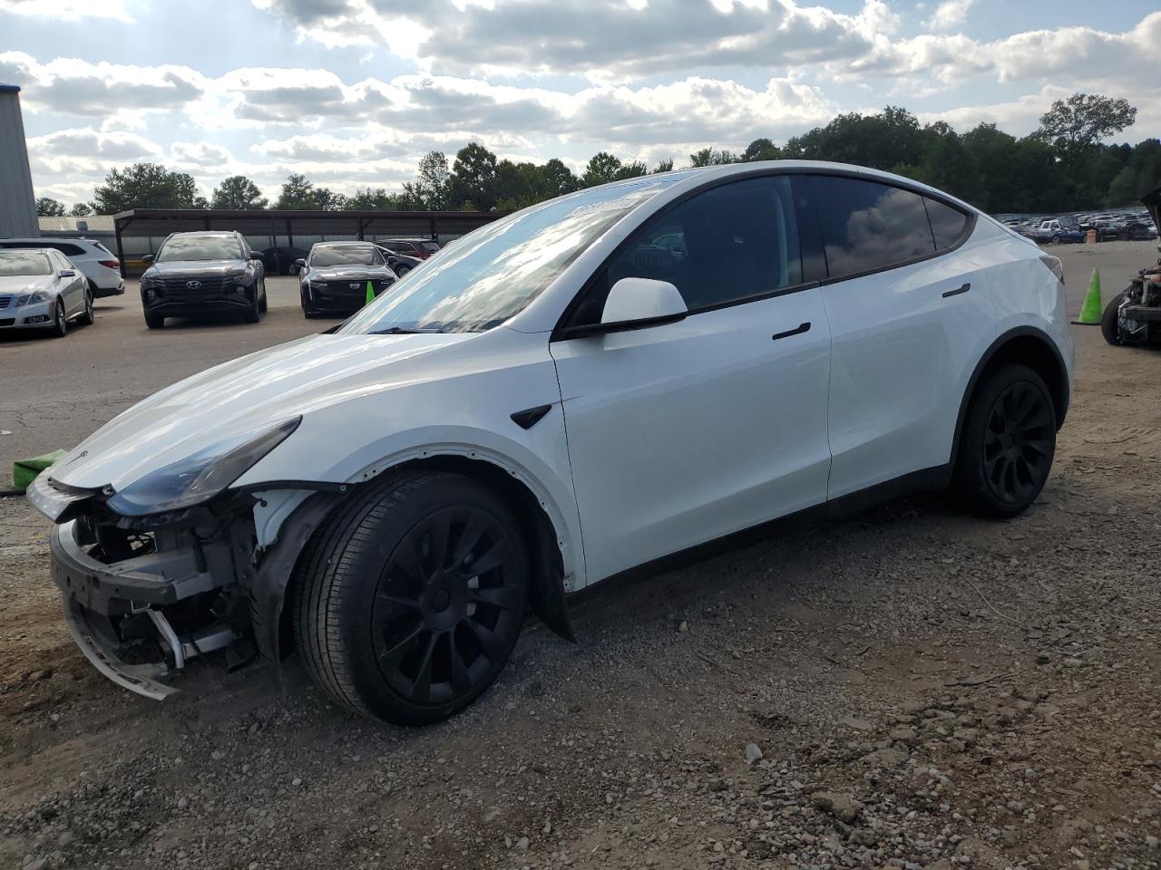 2023 TESLA MODEL Y  VIN:7SAYGDEE8PA188871