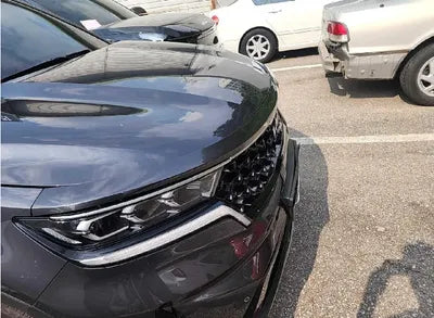 2023 Kia Sorento KNARH81BGPA211796 VIN:KNARH81BGPA211796