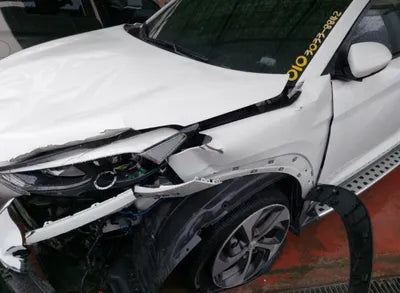 2016 Hyundai Tucson KMHJ381ABGU018429 VIN:KMHJ381ABGU018429