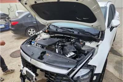 2023 Kia Sportage KNAPY81JBPK136306 VIN:KNAPY81JBPK136306
