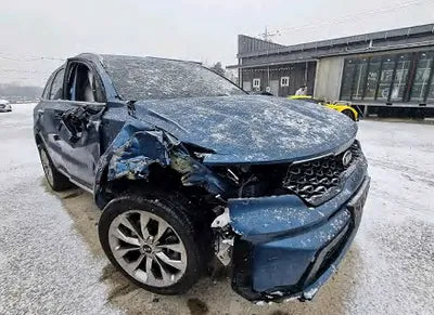 2021 Kia Sorento KNARH81FGMA075279 VIN:KNARH81FGMA075279
