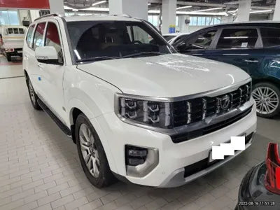 2020 Kia Mohave KNAKN814DLA194463 VIN:KNAKN814DLA194463