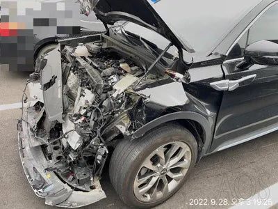 2020 Kia Sorento KNAPS81ABLA631279 VIN:KNAPS81ABLA631279