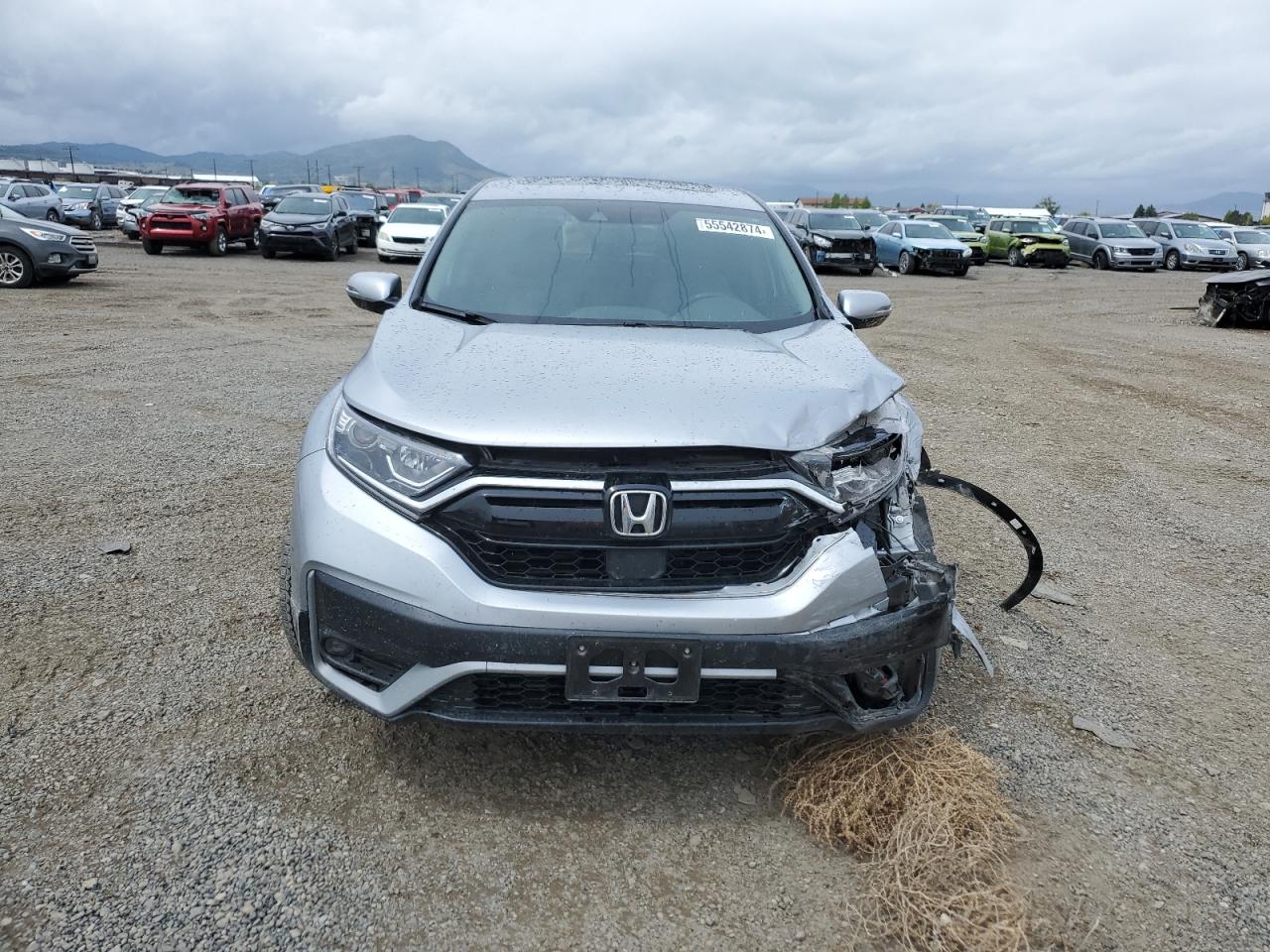 2022 HONDA CR-V EXL VIN:7FARW2H80NE035906