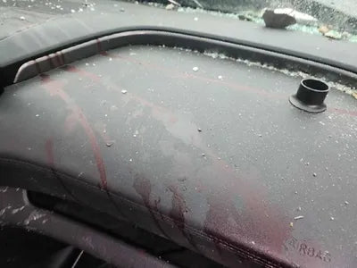 2019 Hyundai Santa FE 2KMHS381BBKU07648 VIN:2KMHS381BBKU07648