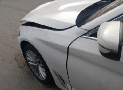 2020 BMW 520 WBAJF3109LWW54738 VIN:WBAJF3109LWW54738