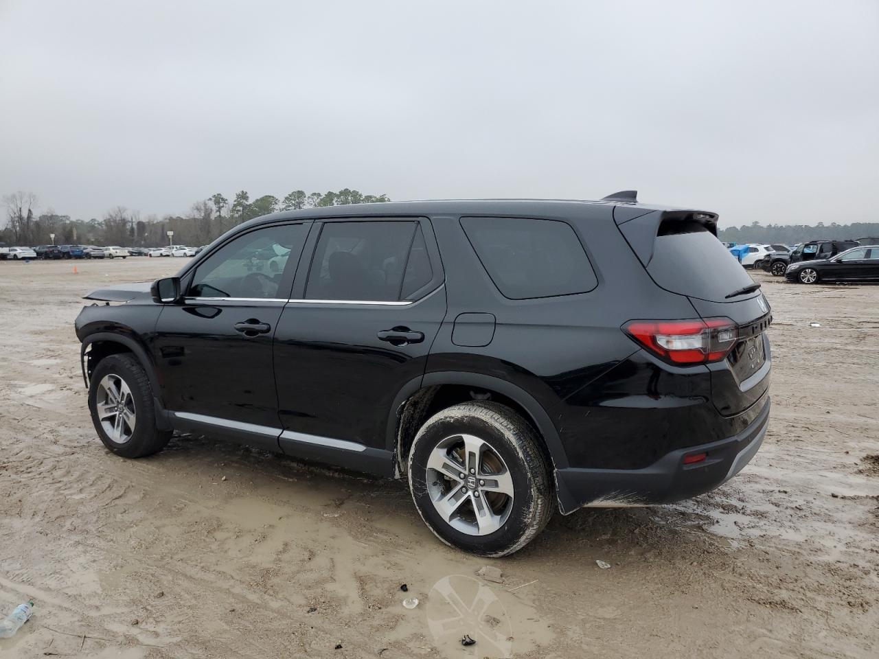 2024 HONDA PILOT EXL VIN:5FNYG2H51RB008049