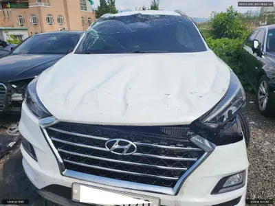 2019 Hyundai Tucson KMHJ581ABKU082770 VIN:KMHJ581ABKU082770