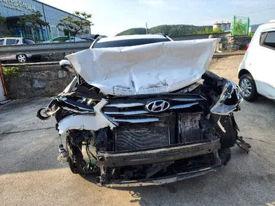 2016 Hyundai Santa FE KMHSW81UBGU700005 VIN:KMHSW81UBGU700005