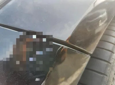 2017 Kia Stinger VIN: