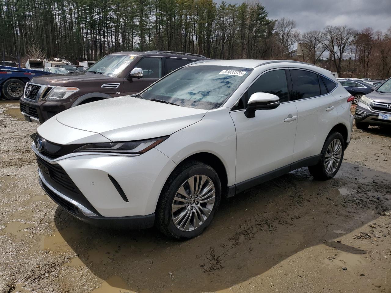 2023 TOYOTA VENZA LE VIN:JTEAAAAH3PJ141947