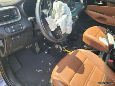 2019 Kia Sorento KNAPS81BBKA545743 VIN:KNAPS81BBKA545743