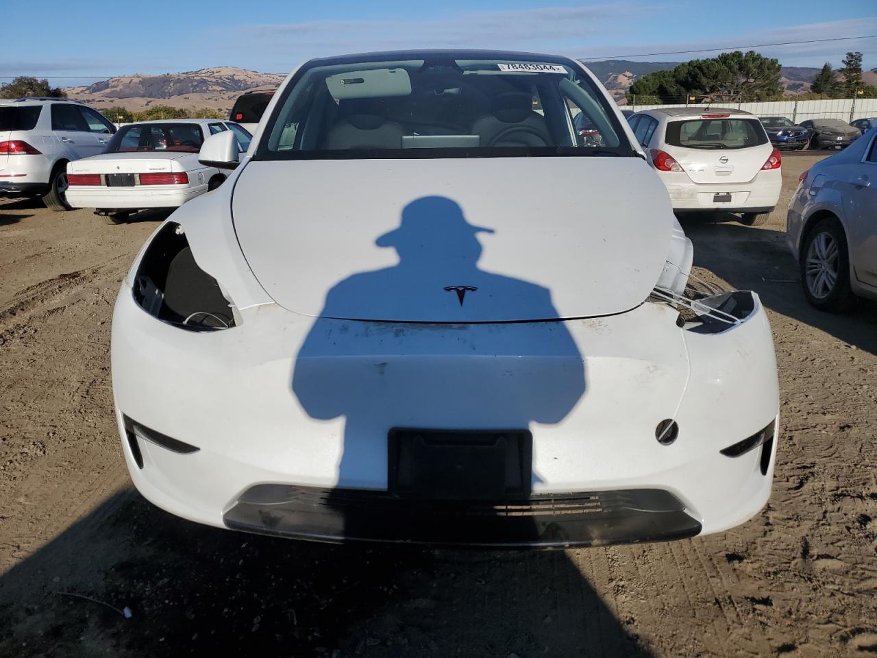 2024 TESLA MODEL Y  VIN:7SAYGDED8RF156144