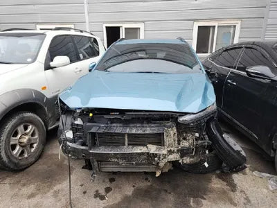 2019 Hyundai Kona KMHK3816GKU317975 VIN:KMHK3816GKU317975