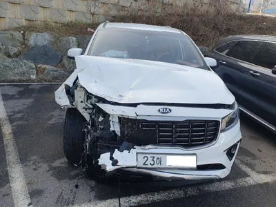 2019 Kia Carnival KNAMB81ABKS556683 VIN:KNAMB81ABKS556683