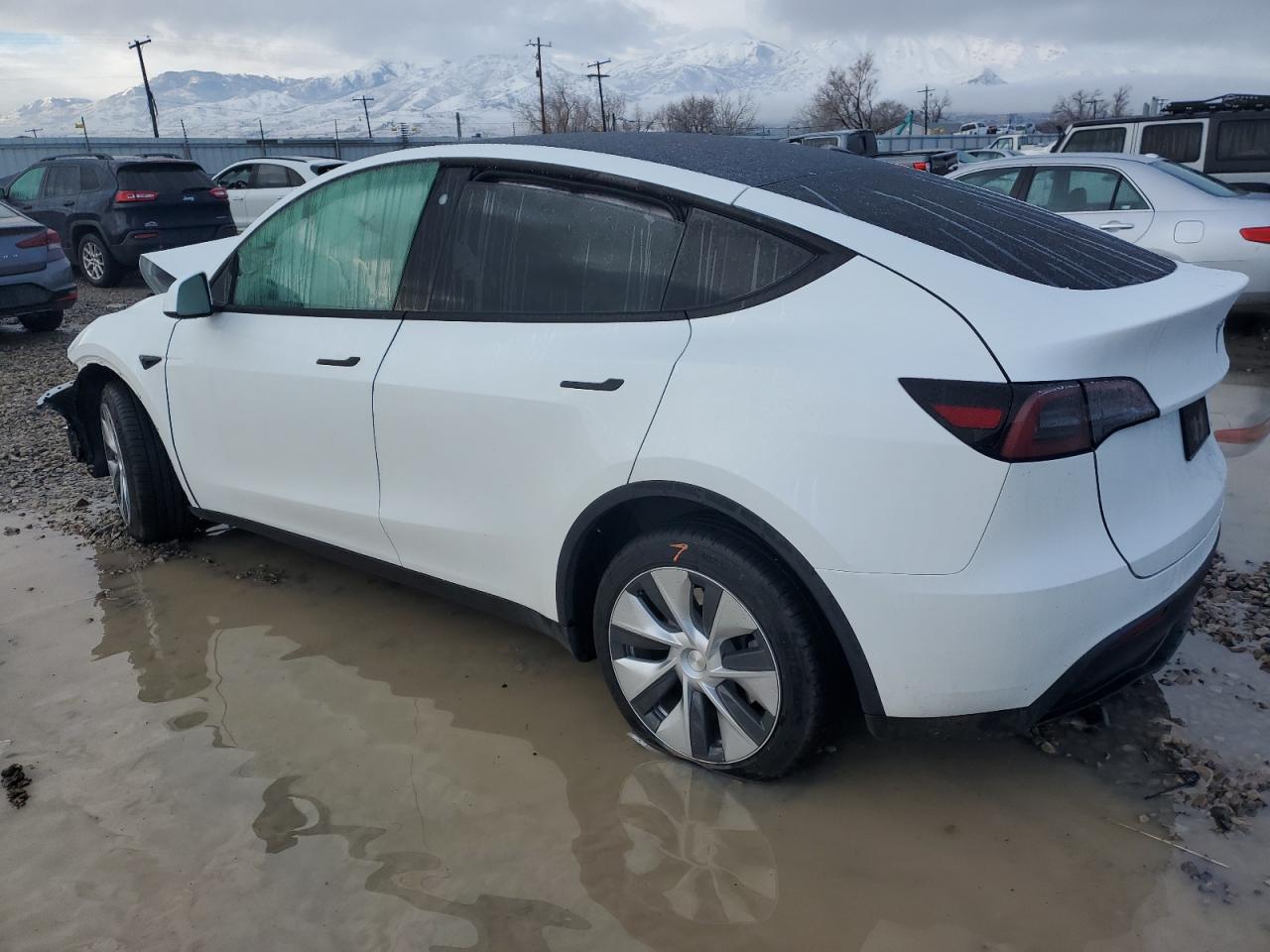 2023 TESLA MODEL Y  VIN:7SAYGDEE1PF600356