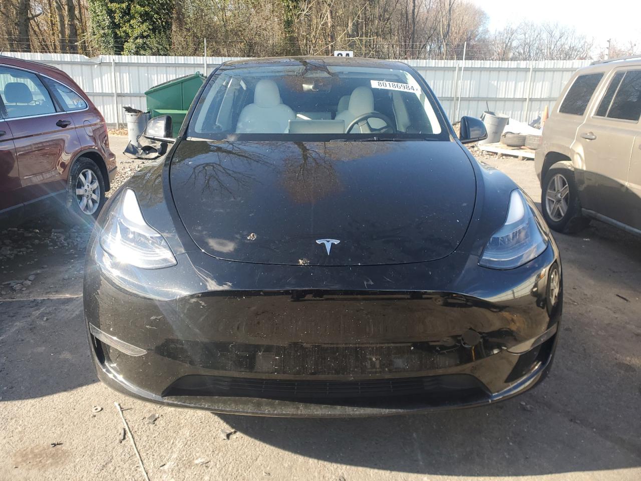 2023 TESLA MODEL Y  VIN:7SAYGDEE1PF850759