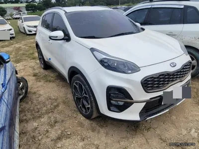 2019 Kia Sportage KNAPP81ABKK645672 VIN:KNAPP81ABKK645672