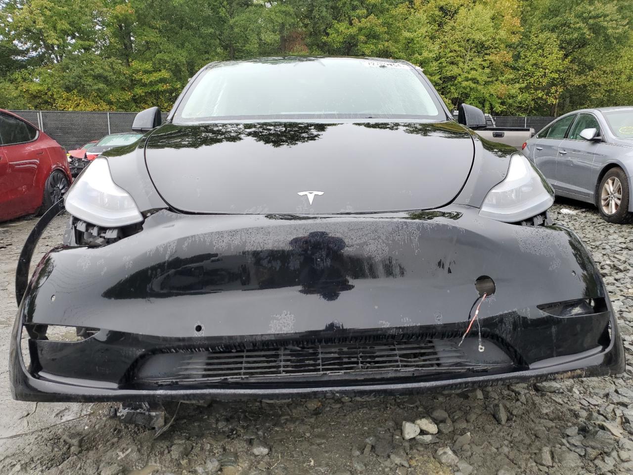 2022 TESLA MODEL Y  VIN:7SAYGDEF5NF309588