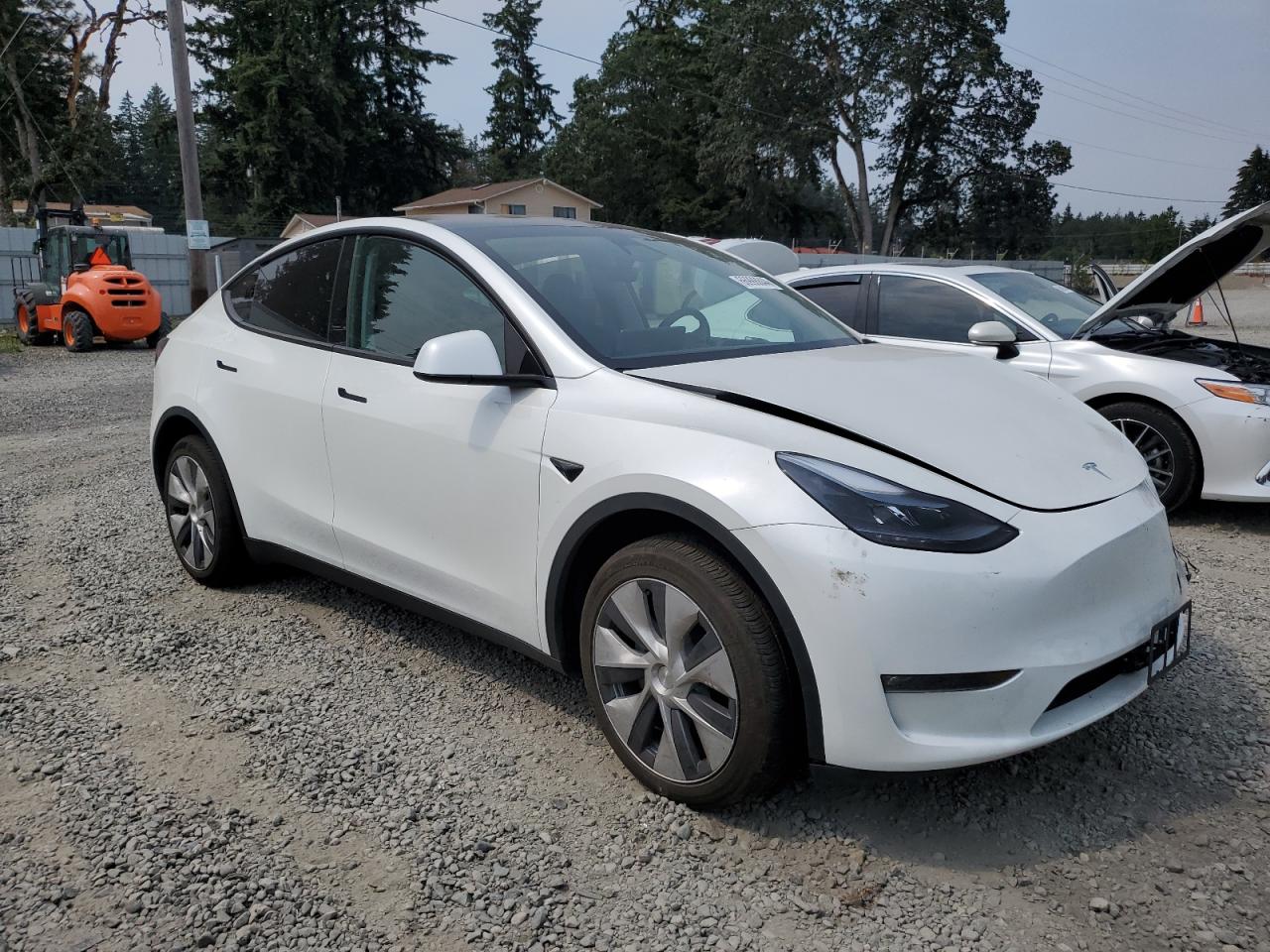 2023 TESLA MODEL Y  VIN:7SAYGDEE9PF910951