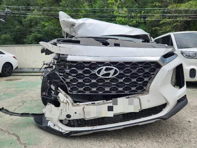 2019 Hyundai Santa FE KMHS381ADKU168779 VIN:KMHS381ADKU168779