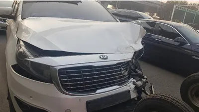 2016 Kia Carnival KNAMB81ABGS149346 VIN:KNAMB81ABGS149346