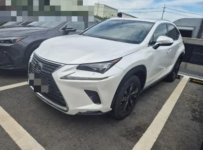 2019 Lexus NX 300 VIN: