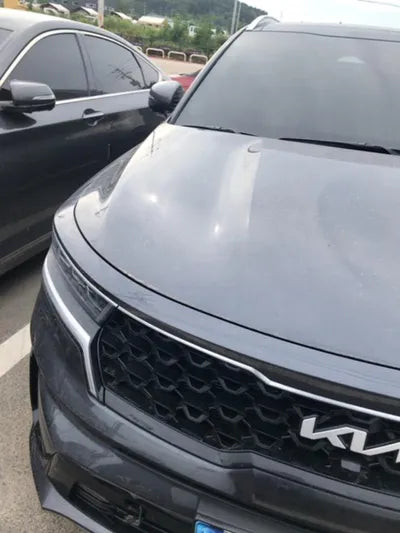 2022 Kia Sorento KNARM81FGNA147321 VIN:KNARM81FGNA147321