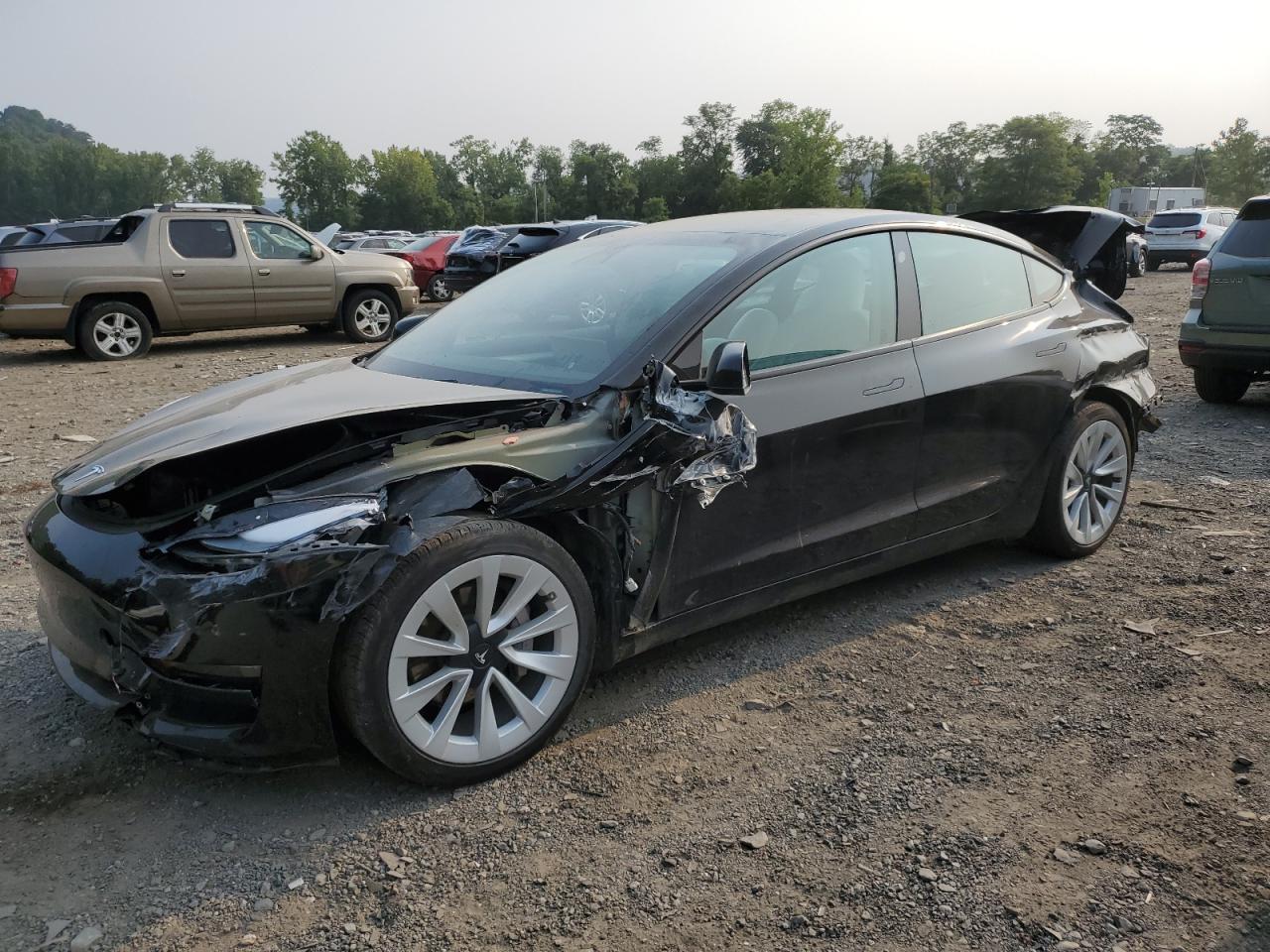 2022 TESLA MODEL 3  VIN:5YJ3E1EA2NF302629