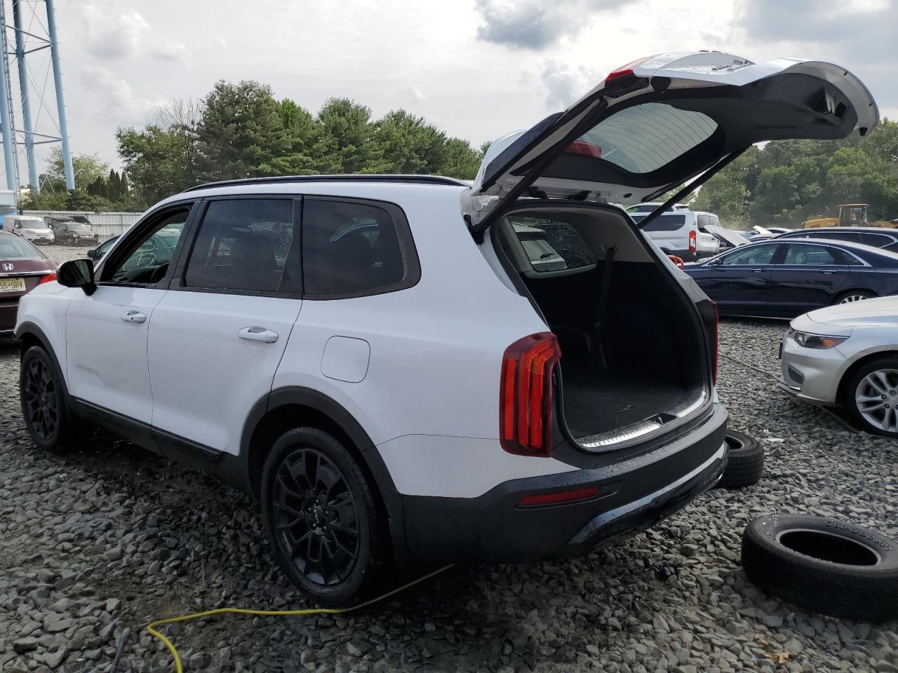2022 KIA TELLURIDE SX VIN:5XYP5DHCXNG270926