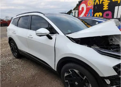 2022 Kia Sportage KNAPV81BHNK007175 VIN:KNAPV81BHNK007175