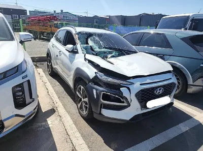 2018 Hyundai Kona KMHK3816GJU144236 VIN:KMHK3816GJU144236