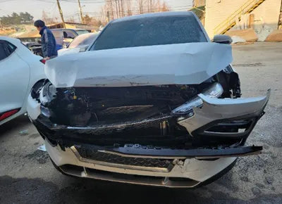 2020 Hyundai Kona KMHK381EGLU028060 VIN:KMHK381EGLU028060