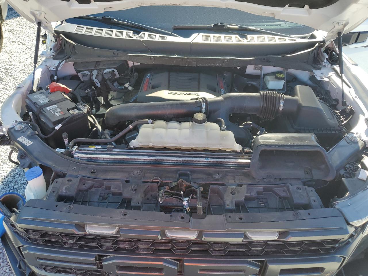 2023 FORD F150 RAPTOR VIN:1FTFW1RG1PFA47110