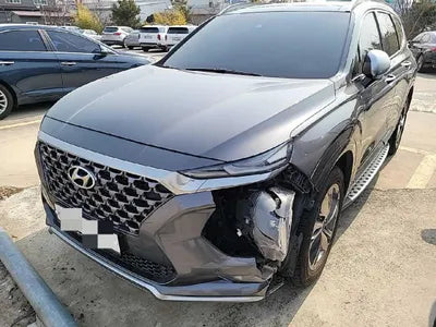 2019 Hyundai Santa FE KMHS581CBKU150918 VIN:KMHS581CBKU150918