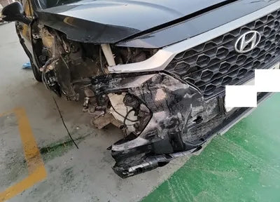 2019 Hyundai Santa FE KMHS281BBKU006706 VIN:KMHS281BBKU006706