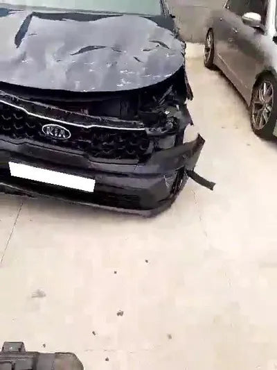 2020 Kia Sorento KNARH81BGMA053875 VIN:KNARH81BGMA053875