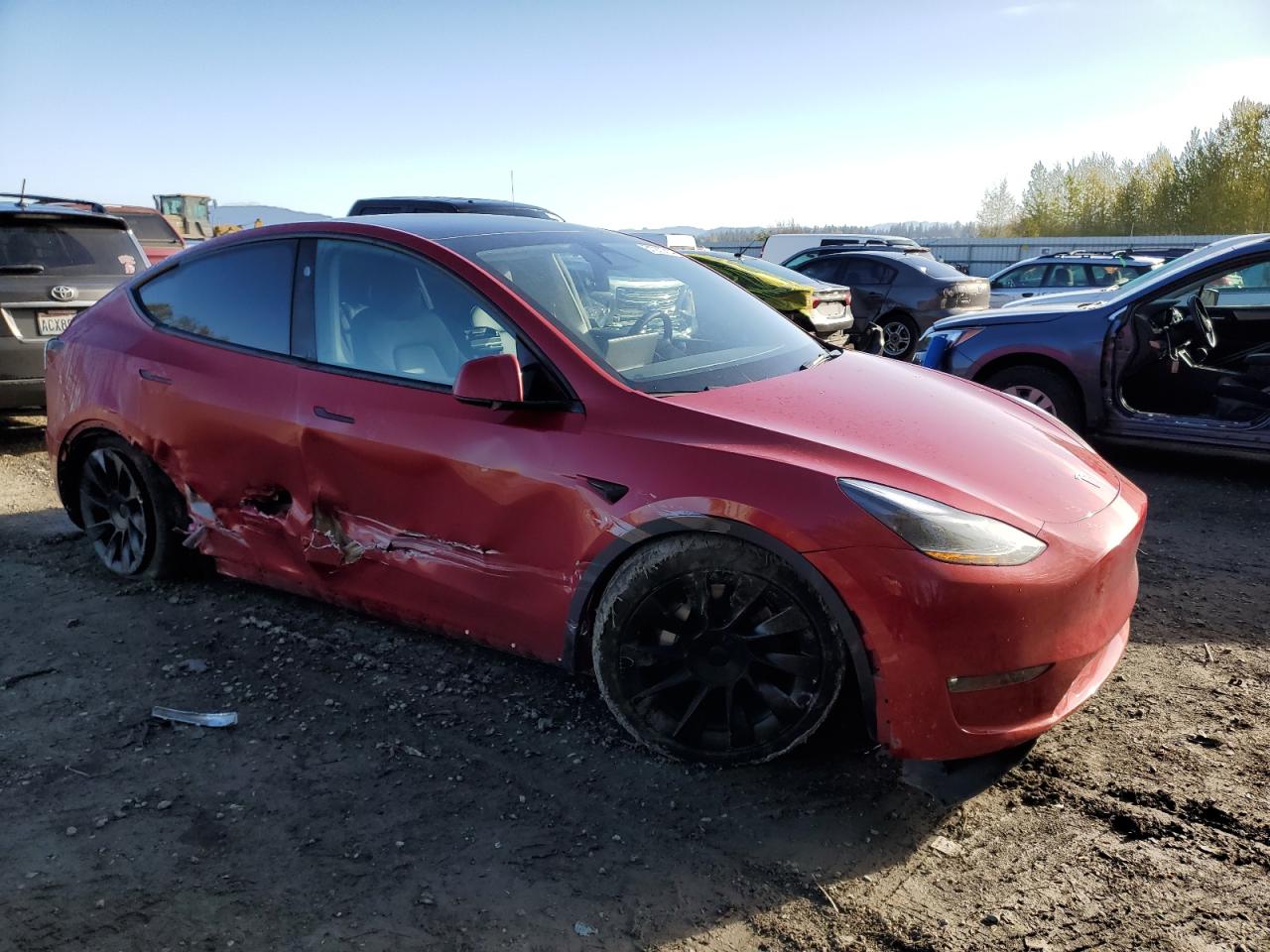 2023 TESLA MODEL Y  VIN:7SAYGAEE4PF871278