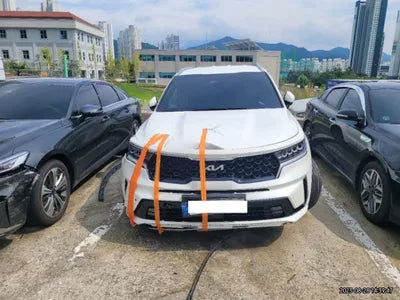 2022 Kia Sorento KNARK81GBNA076966 VIN:KNARK81GBNA076966