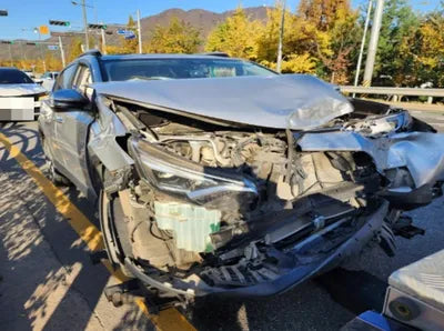 2016 Toyota RAV4 JTMYFREV0GD091882 VIN:JTMYFREV0GD091882