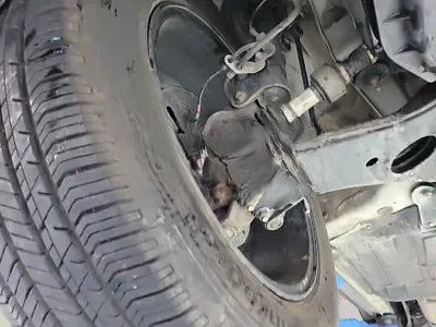 2017 Hyundai Santa FE KMHSW81UDHU740382 VIN:KMHSW81UDHU740382