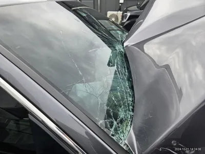 2019 Honda Accord VIN: