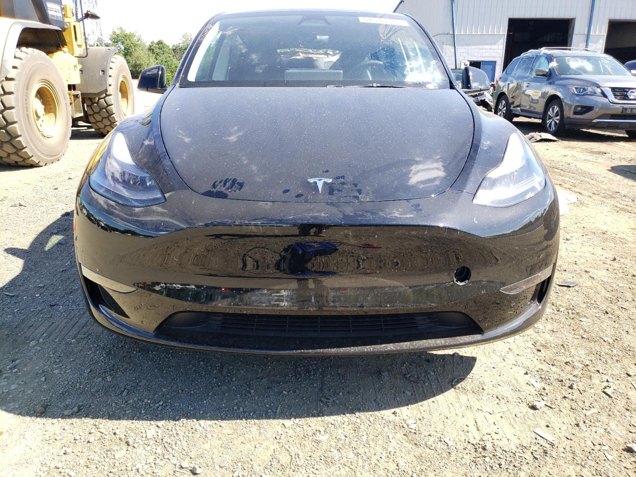 2024 TESLA MODEL Y  VIN:7SAYGDED4RF091972