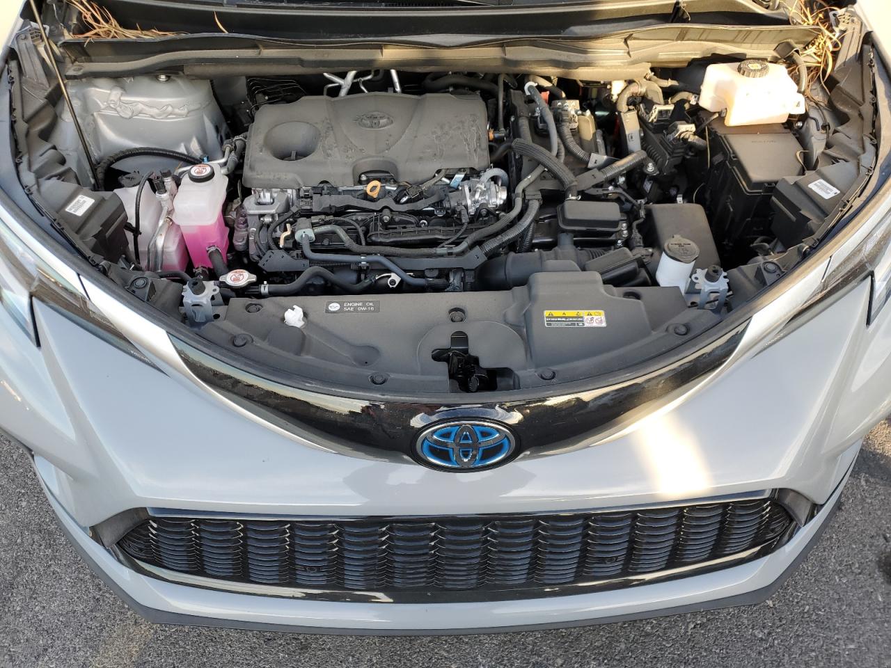2024 TOYOTA SIENNA XSE VIN:5TDDRKEC6RS182951