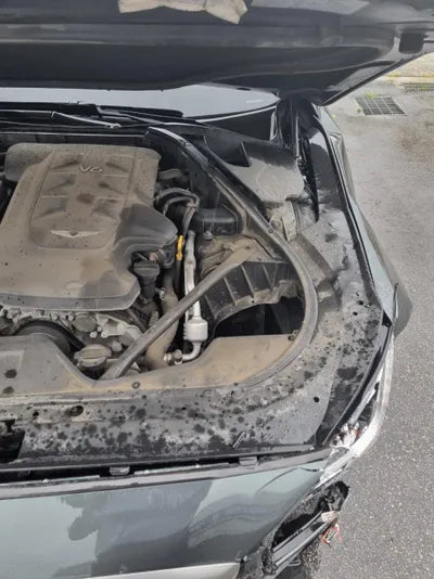 2018 Genesis G80 VIN: