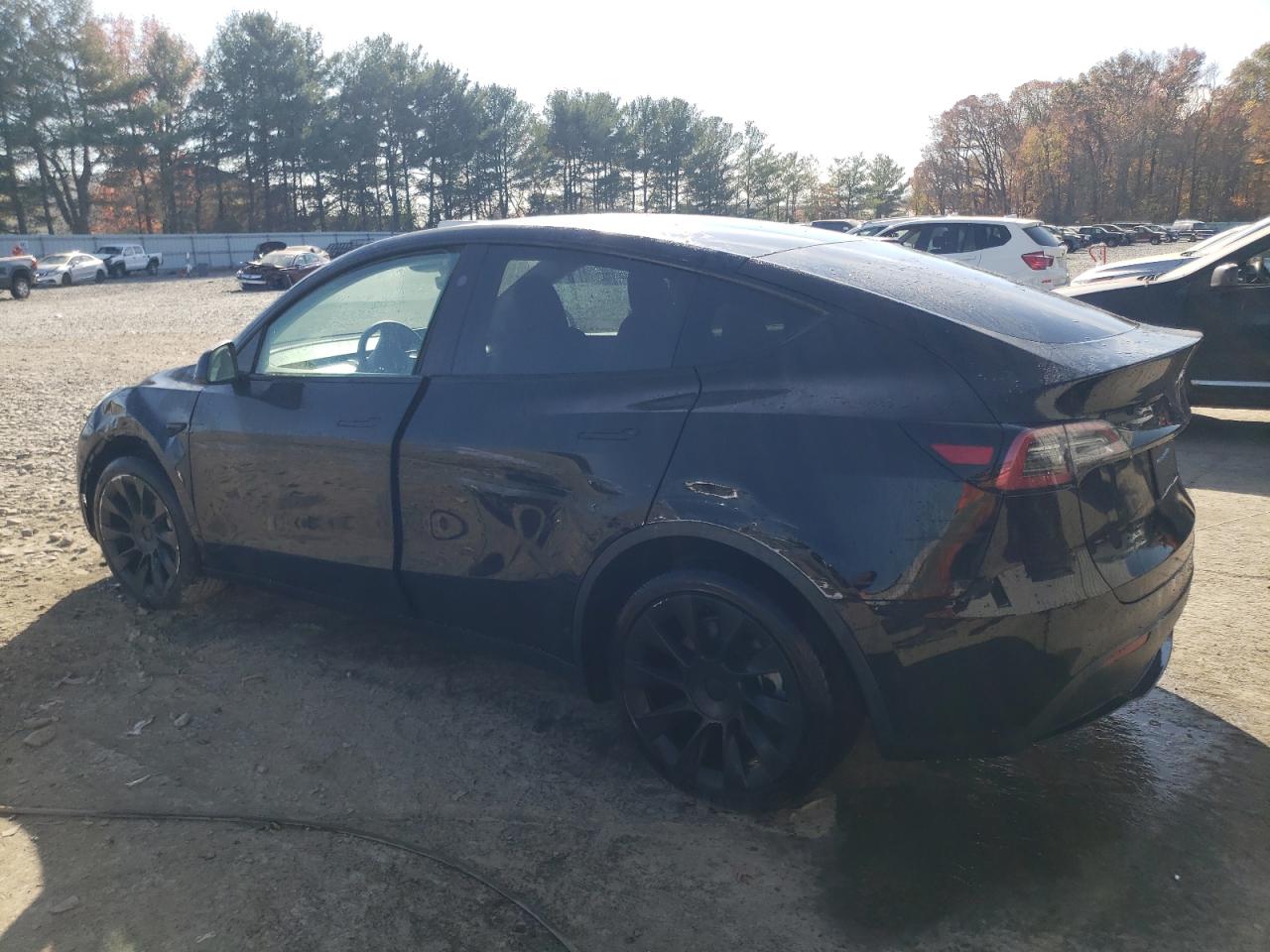 2023 TESLA MODEL Y  VIN:7SAYGDEE3PF889997