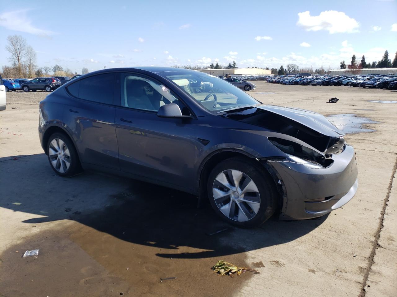 2023 TESLA MODEL Y  VIN:7SAYGDEE9PF862819