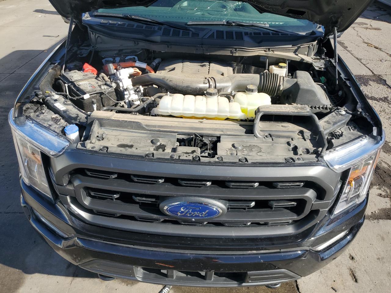 2023 FORD F150 SUPERCREW VIN:1FTFW1ED7PFD06338